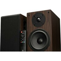 Music Public Kingdom BS100